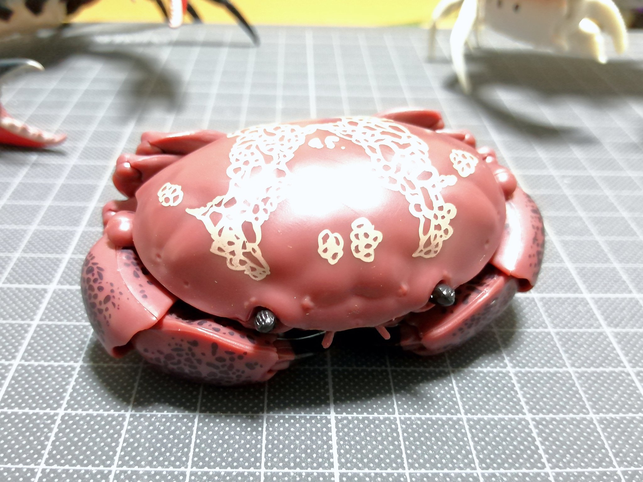 鰯水 いわし スベスベマンジュウガニかわいいよスベスベマンジュウガニ 毒蟹だけど T Co 7vfzimkwnl Twitter