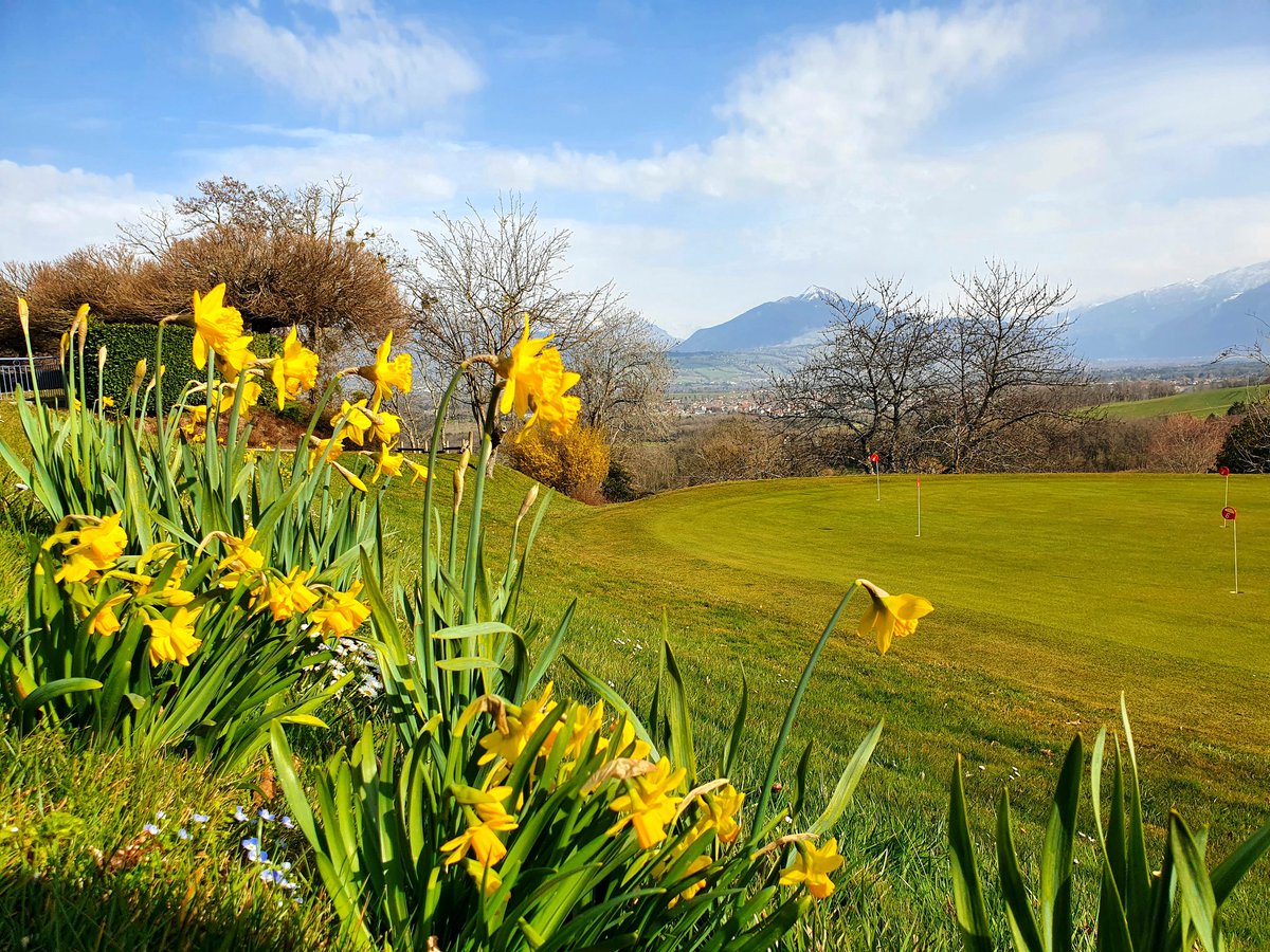 Golf_Club_Esery's tweet photo. Spring is coming ! 🌼⛳
#golf #esery #golfesery #golfclubesery #savoiemontblanc #montsdegeneve #hautesavoie #myswitzerland https://t.co/nPLlzhpDmX