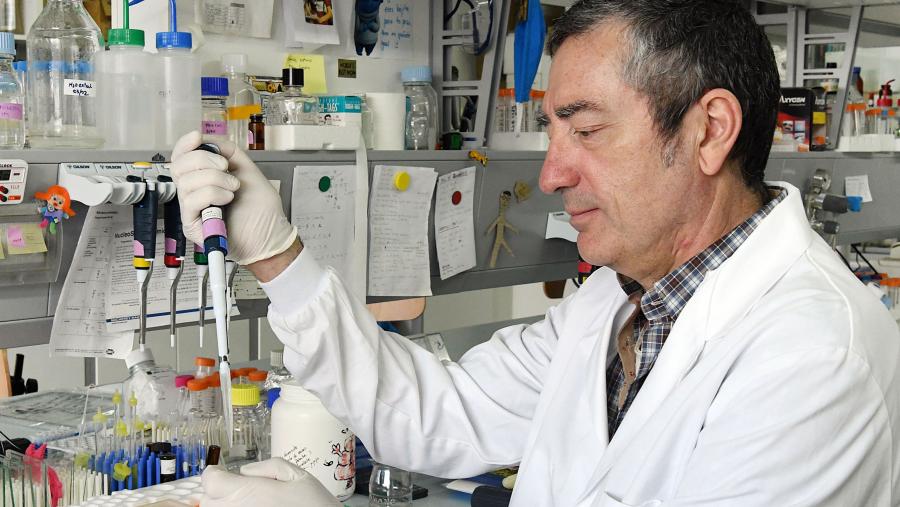 ▶  <a href="/ondamadrid/">Onda Madrid</a>
📻 101.3-106 FM 
⏰16: 25h
👉 Las vacunas contra el covid por vía nasal. 
 ✔  Hablamos con el investigador @Pepman34 de la Universidad de Santiago de Compostela.
🎙️ EN VIVO telemd.es/ciotj