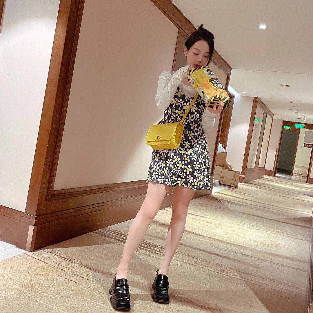 loewe goya bag 2021