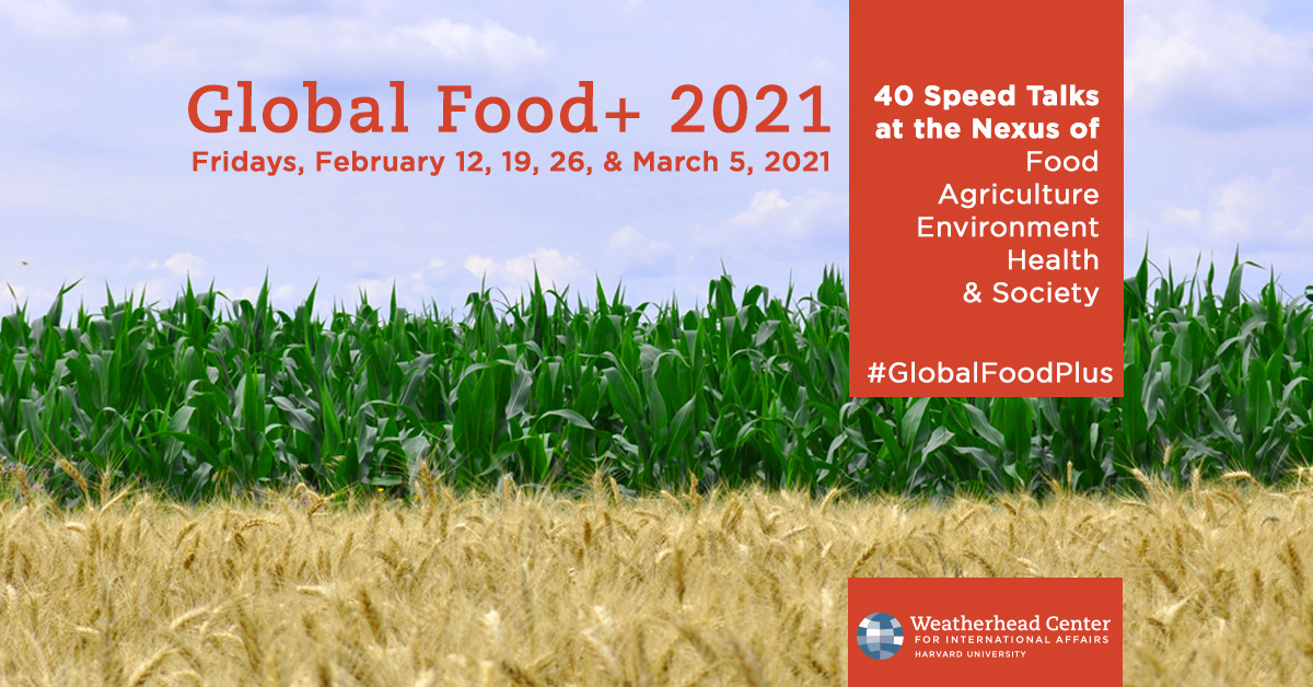 Weatherhead Center for International Affairs tweet media