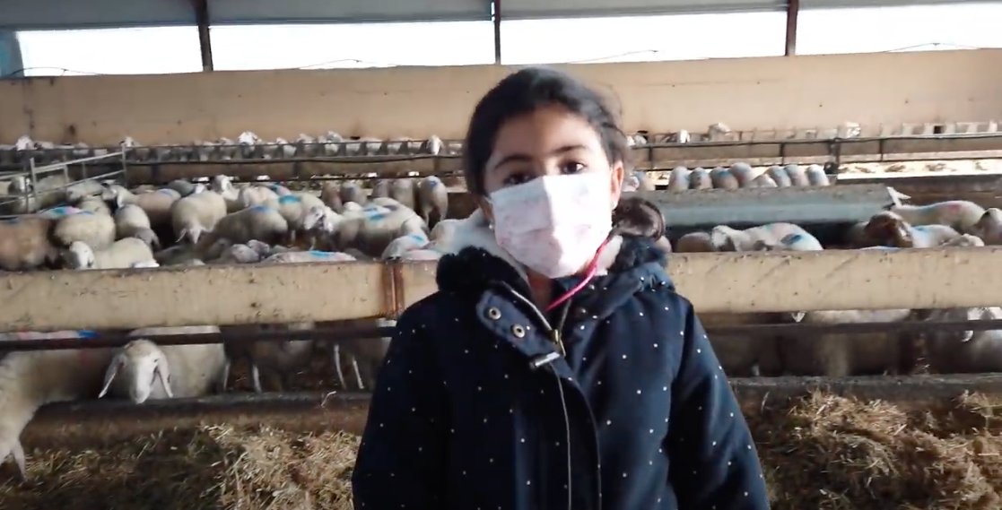 quesoslaantigua's tweet photo. Cada vez aprendemos más con los estrenos de #Cheesekids.
¡Y esta vez si que es #quesodeguay ! Alba se va a visitar #ovejas🐑 y conoce la vida de un pastor.
¡Dale al clic!
#quesodeoveja #felizdomingo
https://t.co/0u5NgPc1T8 https://t.co/5umgggiHfk