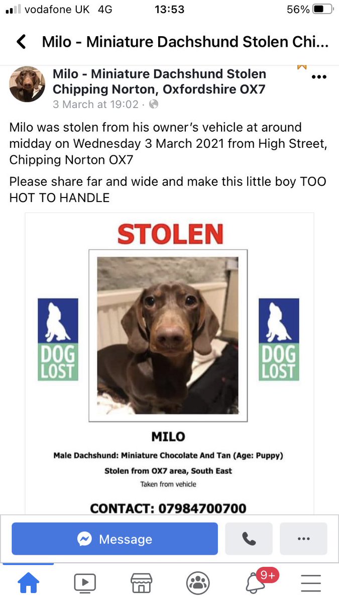 DexterMidgley's tweet photo. Another stolen sausage. 😥 Do your stuff troops let’s get this little fella home again @SausageArmyHQ https://t.co/d1YDD0Mzt3
