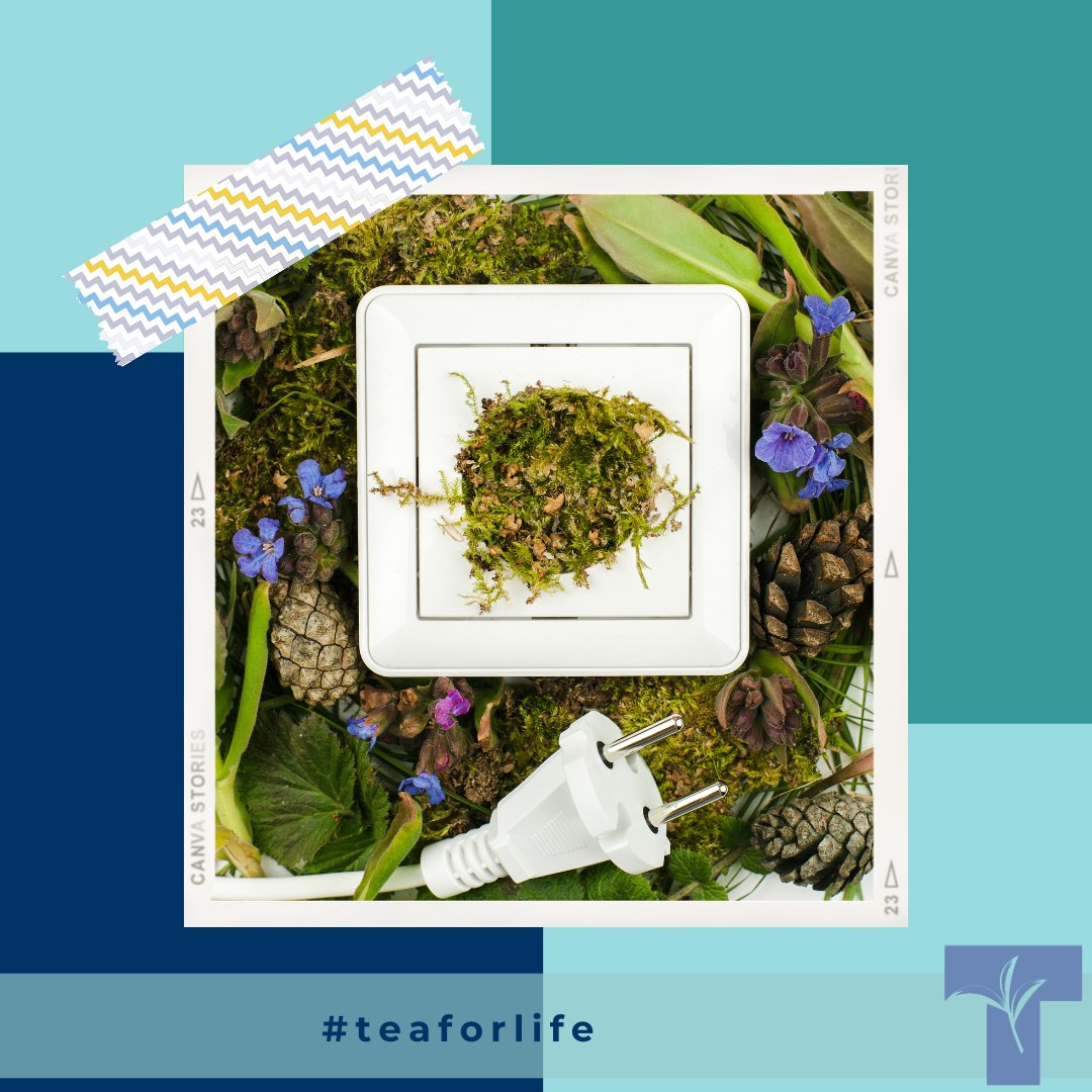 May we have your attention please. A healthy eating habit to get into is to unplug from your phone, computer or tv. Unplug with a cup of tea and enjoy your meal. #BrewCrew #NutritionMonth #TeaForLife #NationalDayofUnplugging #unplug