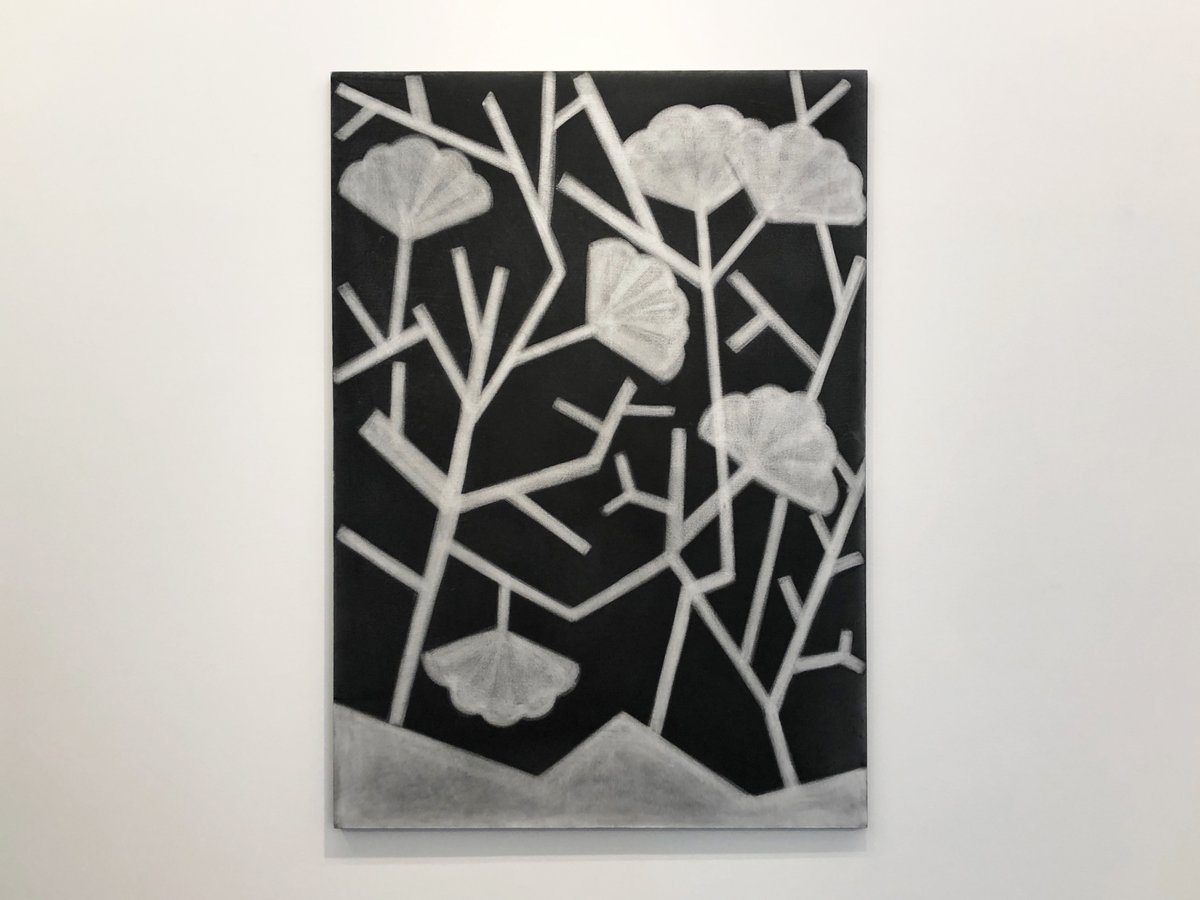 はむぞう בטוויטר South South Tokyo を六本木のタカ イシイギャラリーで見た グローバル サウス問題に取り組むプラットフォーム South South の展覧会 写真はシルケ オットー ナップさんの作品と会場風景 3 6まで