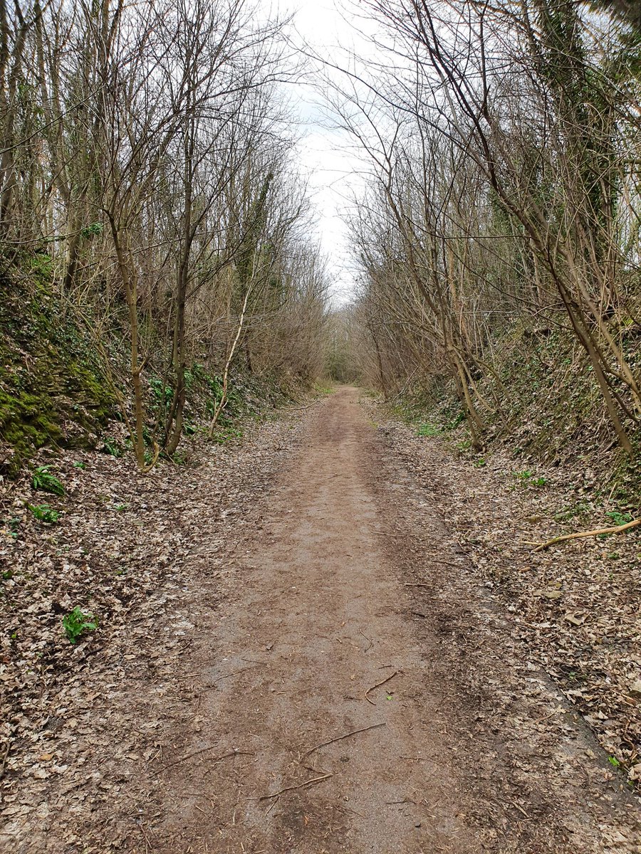 fatladruns's tweet photo. Peace and quiet
#fatladruns #runwithrusty #trailrunning #running #landscape #destress #lockdown #getbackonit #SpringTime
You've received 5000.00 RPD here:
https://t.co/iWpcoQl9XH https://t.co/Xp0TYTCREx