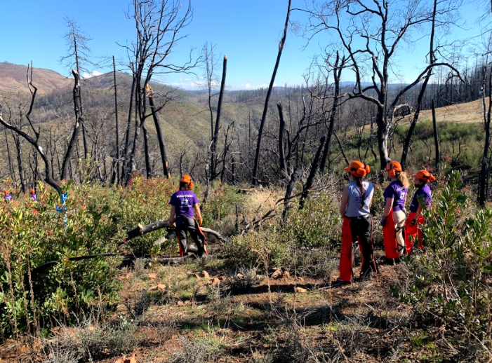 AllHandsHearts's tweet photo. Volunteer applications are open for our California Wildfire Relief Program. Our response team in California will focus on recovery activities, including fire mitigation projects and the creation of defensible spaces by removing trees. Apply now: https://t.co/DgMX8WVcqI 💜 💜 💜 https://t.co/PfOhVCEDBC