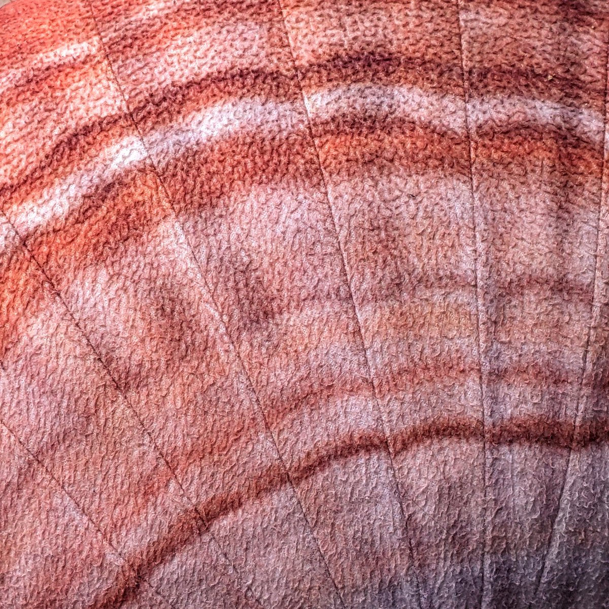 vjamoore's tweet photo. I don't know about you but it's been very grey here today. It's at times like this I remember why I collect vibrant orange things to cheer me up...
#texturehunter https://t.co/kEwlLN7bRG