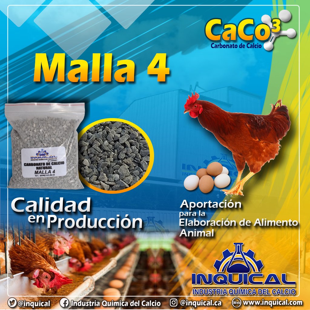 inquical's tweet photo. 🐣🐓Otra de las aplicaciones del Carbonato de Calcio, es como complemento alimenticio para los animales, debido a su alto contenido nutritivo sirve como aditivo para su desarrollo y crecimiento. #Calidad #Inquical https://t.co/XsIUcjVNZJ