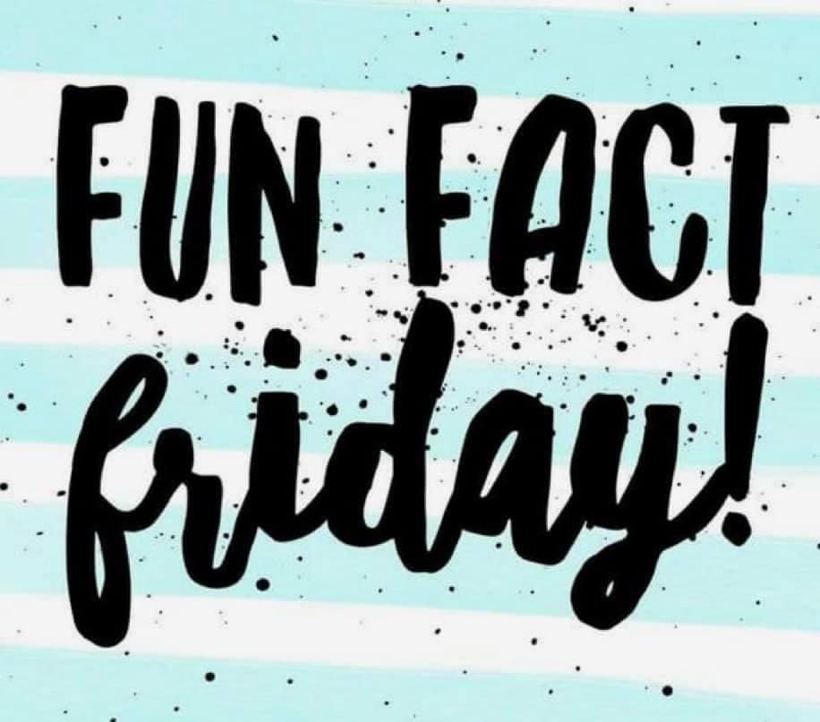 gigi2t_and_a's tweet image. #FunFactFriday
Your gut contains 400x more melatonin (sleep hormone) than the pineal gland in your brain. Got insomnia? A good probiotic is a must. 😴 I’ve got the best! Who else is in need of a really good night sleep??🙋🏼‍♀️
#probio5 #handsdowntheBEST #clincallyproven