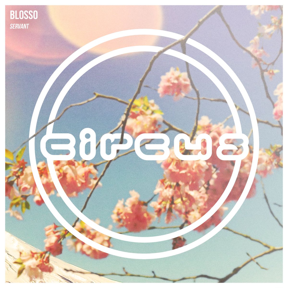 HighEQ Digital tweet media