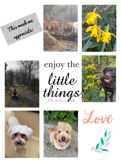 This week saw the kickoff of the Marchathon challenge. Team Food &amp; Winos getting off to a great start and appreciating the little things along the way... <a href="/STCampus/">gk Campus st</a> <a href="/LimerickIT/">gatesletter</a> <a href="/LITSports/">EnglishDocument</a> #Marchathon #Family #FurryFriends #SpringTime