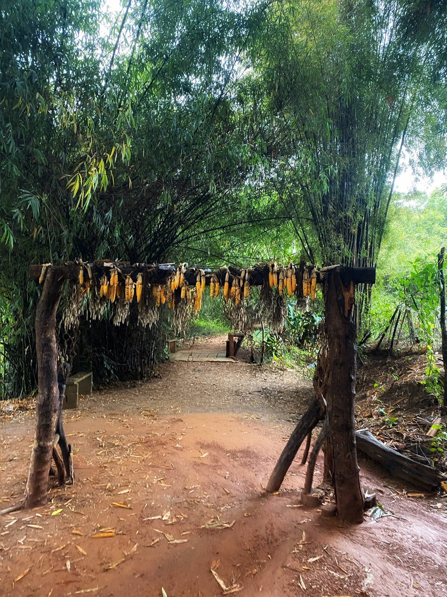 ปาริน tweet media