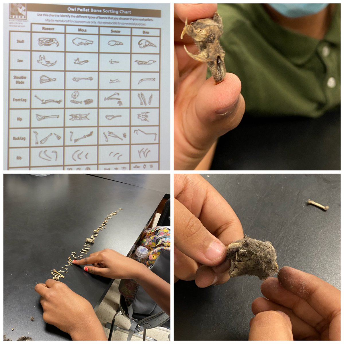 Dixie Elementary tweet media