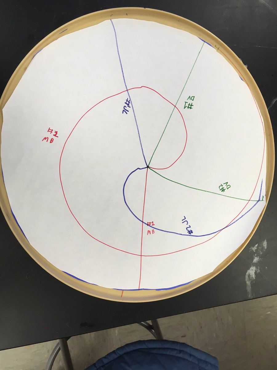 MPHScienceDept's tweet image. Coriolis who? Coriolis what? Is a line straight? What happens when you draw a straight line and your partners rotate the turntable, your point of reference? Well, you get this: