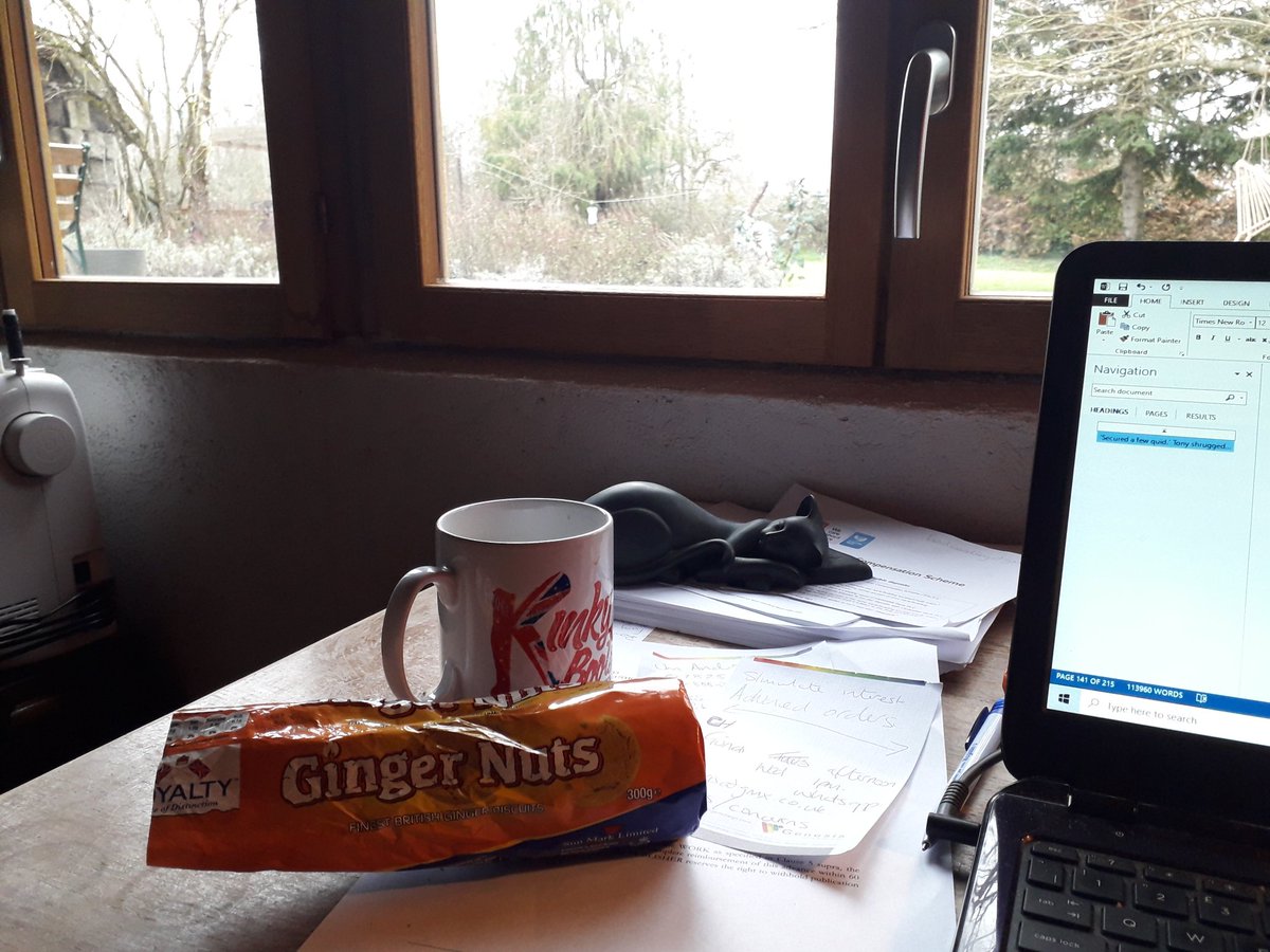 Love a ginger nut and a coffee to aid procrastination.
What do you use for those little distractions?
#WritingCommnunity #journos #Africa #BigCats #ConspiracyOfCats #Edinburghauthor #livinginfrance