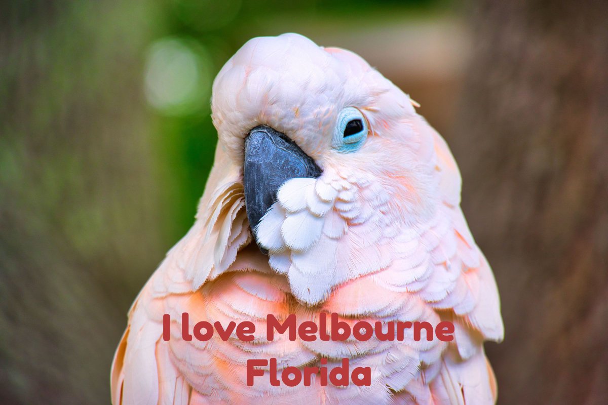 EdenSource's tweet image. Happy Friday! I love Melbourne Florida.