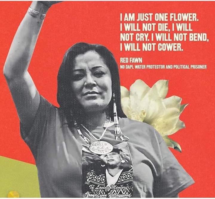 MeilingColorad1's tweet image. Four years. Four years of #FreeRedFawn Fridays. Today is Friday, and RedFawn Janis is free at last! ❤
#nodapl #mniwichoni #westand
