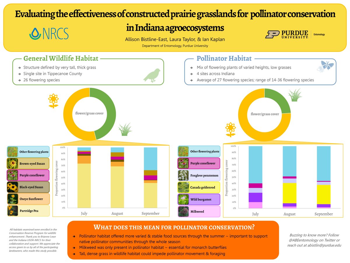Very happy to have the chance to share some preliminary results of last summer's research on what makes a good #pollinator habitat for #conservation in agroecosystems at #IndianaSFC. If you didn't see it there, check it out here! <a href="/PurdueInsects/">Purdue Entomology</a> <a href="/Kaplan_Lab/">Kaplan Lab</a> <a href="/IndianaNRCS/">NRCS Indiana</a>