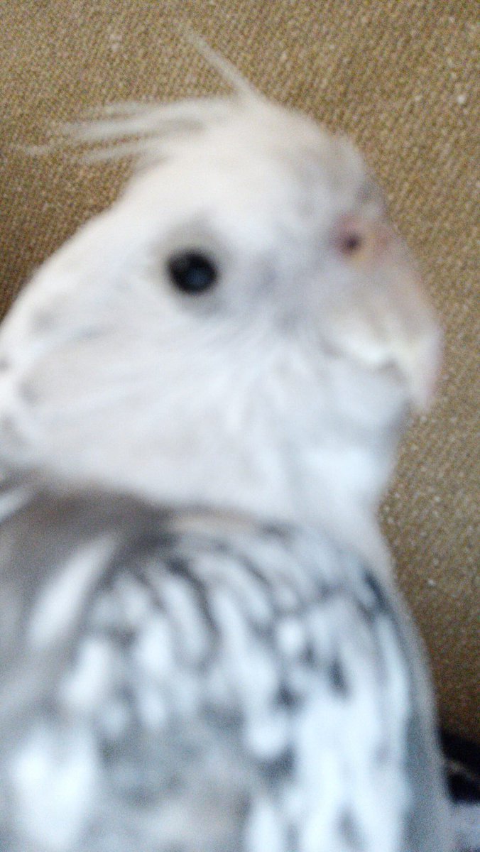 Dictadormiranda's tweet image. #NaconProCompact tenia un mando para play bastante crema, tener uno en pc estaria guapo.