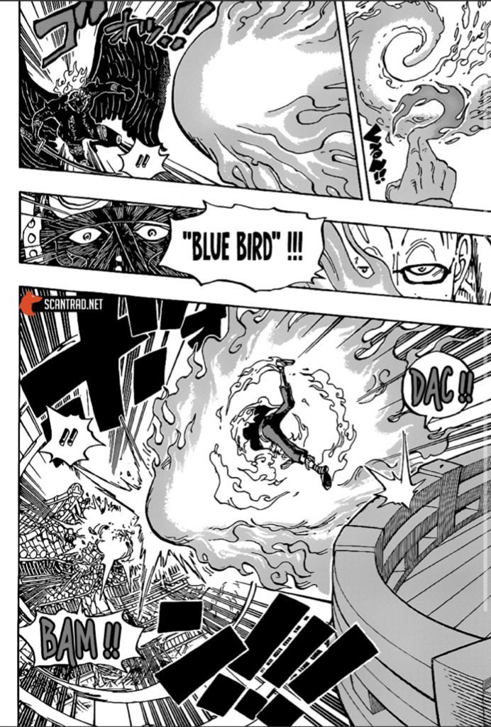 Onepiece1006 Twitter Search