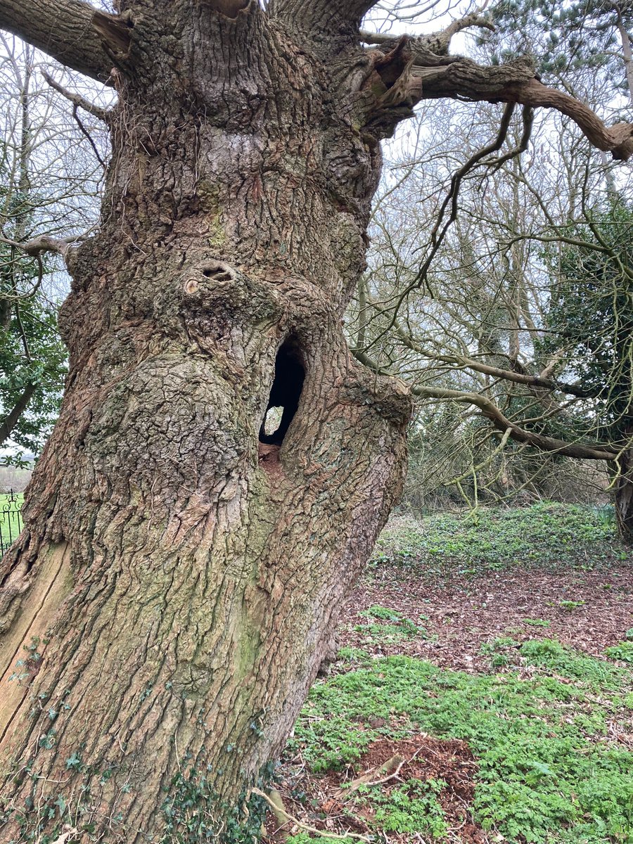 Fiona Blakemore tweet media