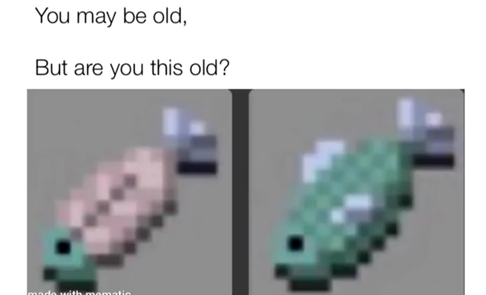 Only Minecraft veterans understan