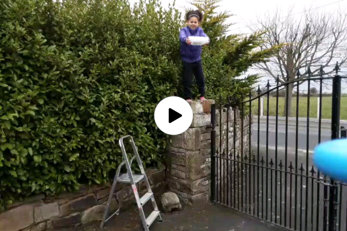 brureens's tweet image. Super work from Vivienne in 3rd class on her « egg protection » project for @engineerireland #engineersweek2021 Unfortunately “Eggbert” did not survive but she has already thought of a solution to provide better protection @DPSM_Activities @PDSTPrimarySTEM