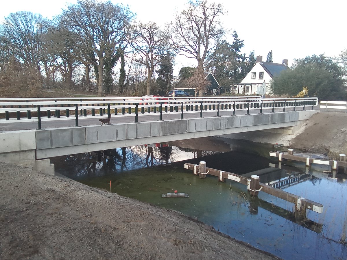 Marjon Antoons tweet media