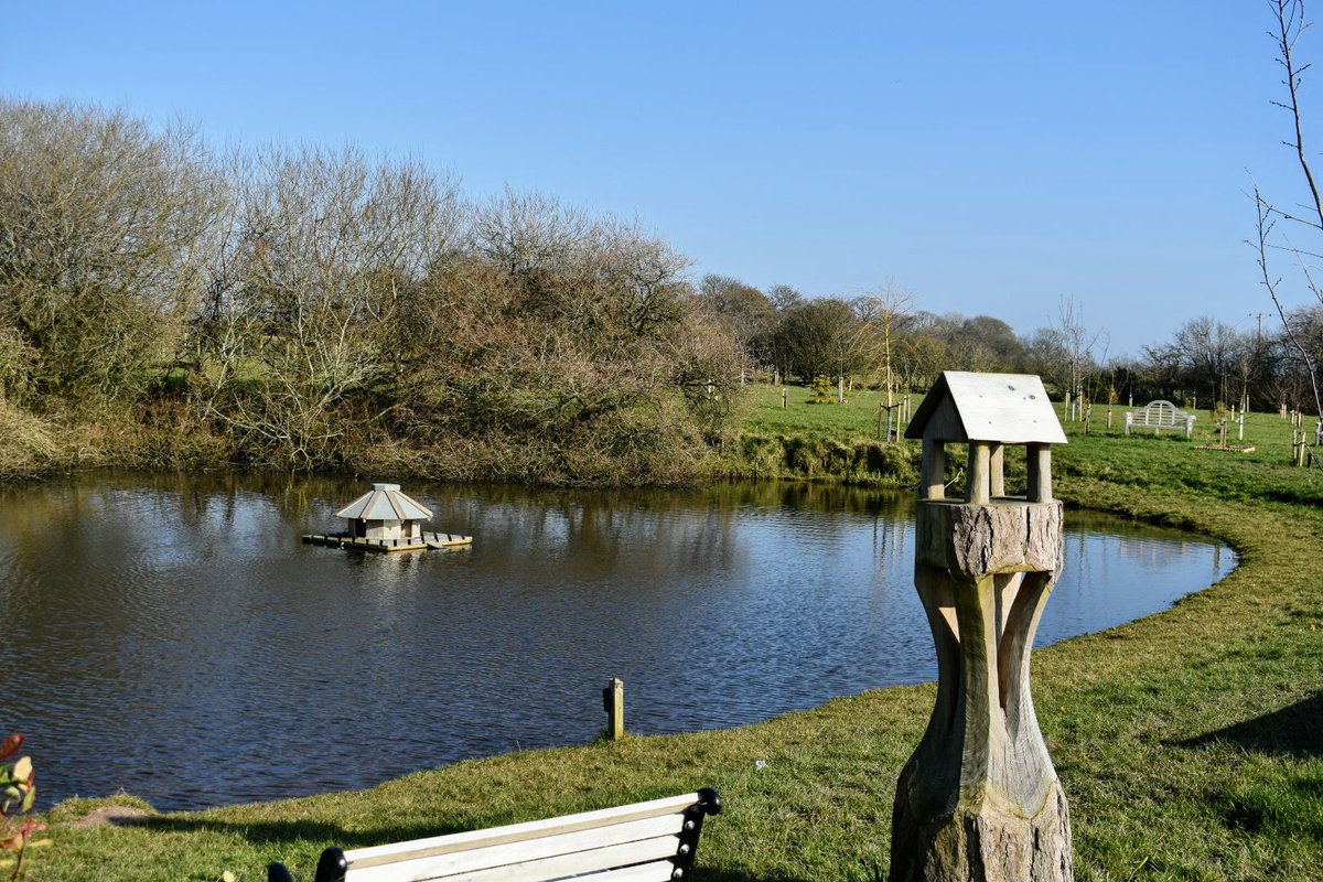 Back to Wrea Green Remembrance Wood this week. A beautiful, calm space if you're thinking of dedicating a tree to a loved one ♥️
Caution - bit muddy underfoot at the mo!

#funeral #memorial #celebrationoflife #remembrance
#wood #pond #nature #preston #lancashire #celebrant