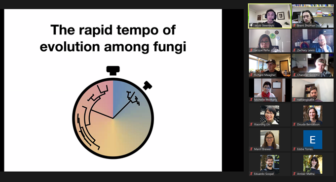 Happy #FungalFriday! Thanks <a href="/jlsteenwyk/">🧬Jacob L Steenwyk</a> from the <a href="/RokasLab/">RokasLab</a> for sharing your cool research about your phylogenetic software, ancient evolution of Hanseniaspora yeast, and hybridization in Aspergillus species! #Fungi #yeast #mycology