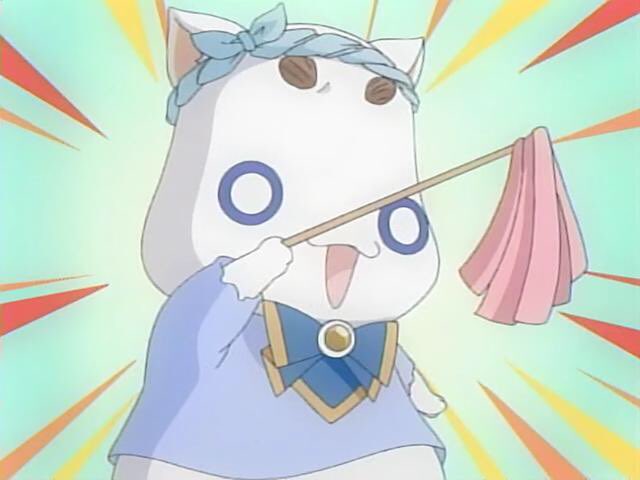 アリア社長 Aria の年齢は何歳 モデルの猫や何を待っていたのかについても ワクワクが止まらない 情報ブログ