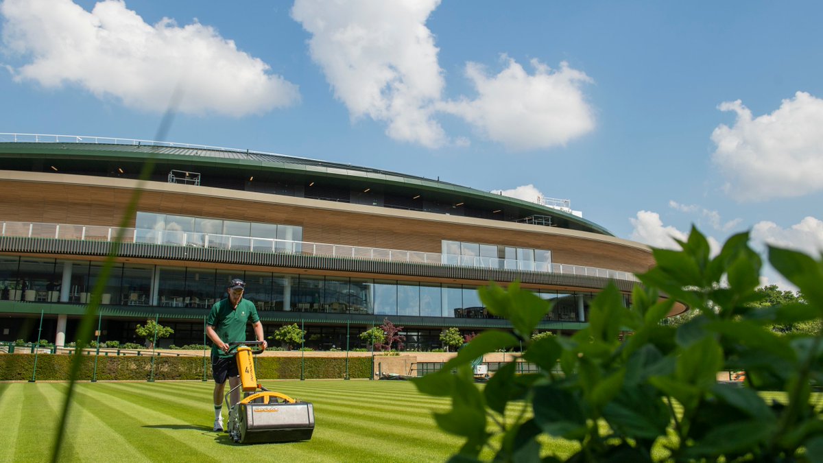 Wimbledon tweet media