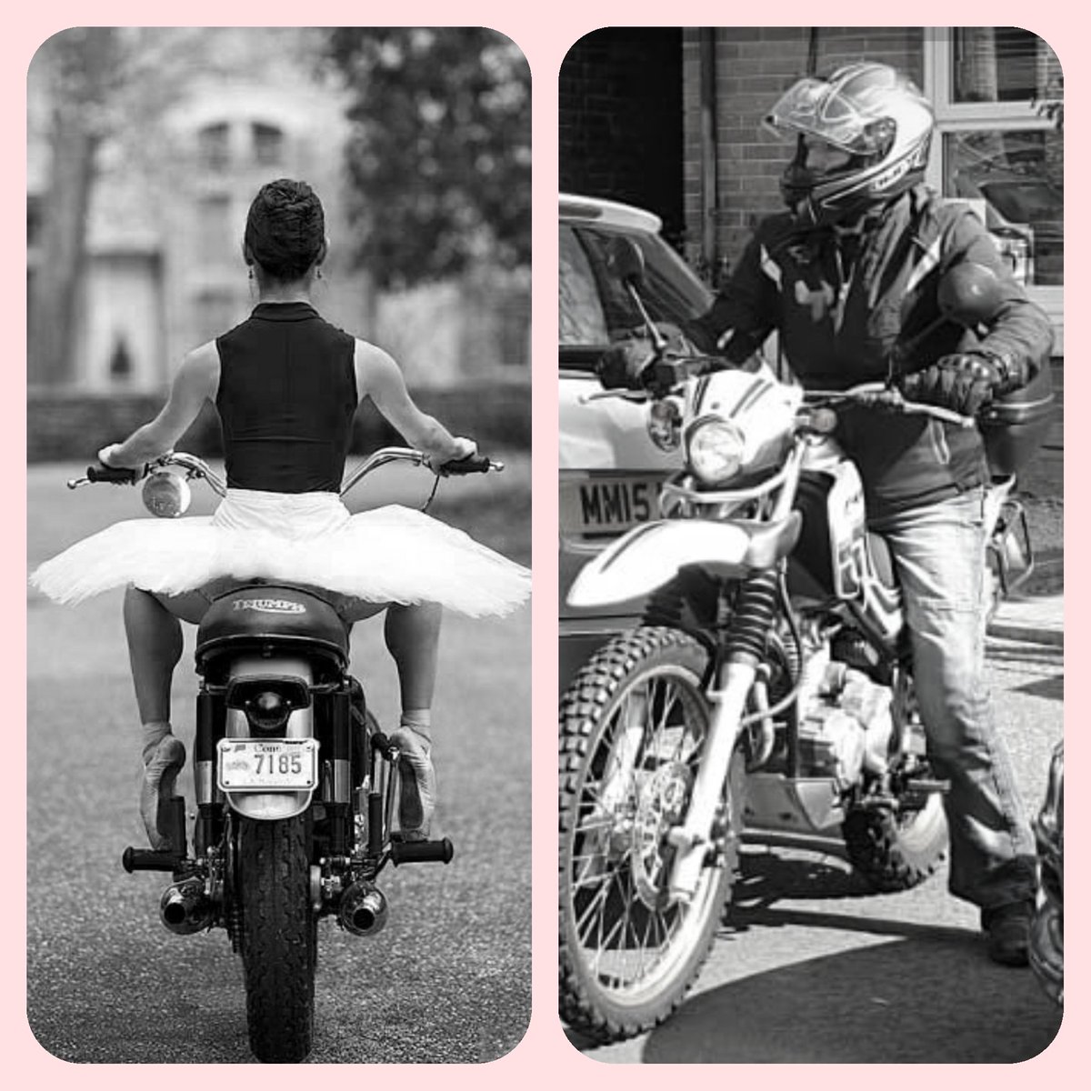 Jeanette Lynes tweet media