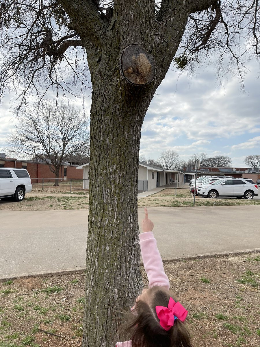 Shaila Kossey tweet media