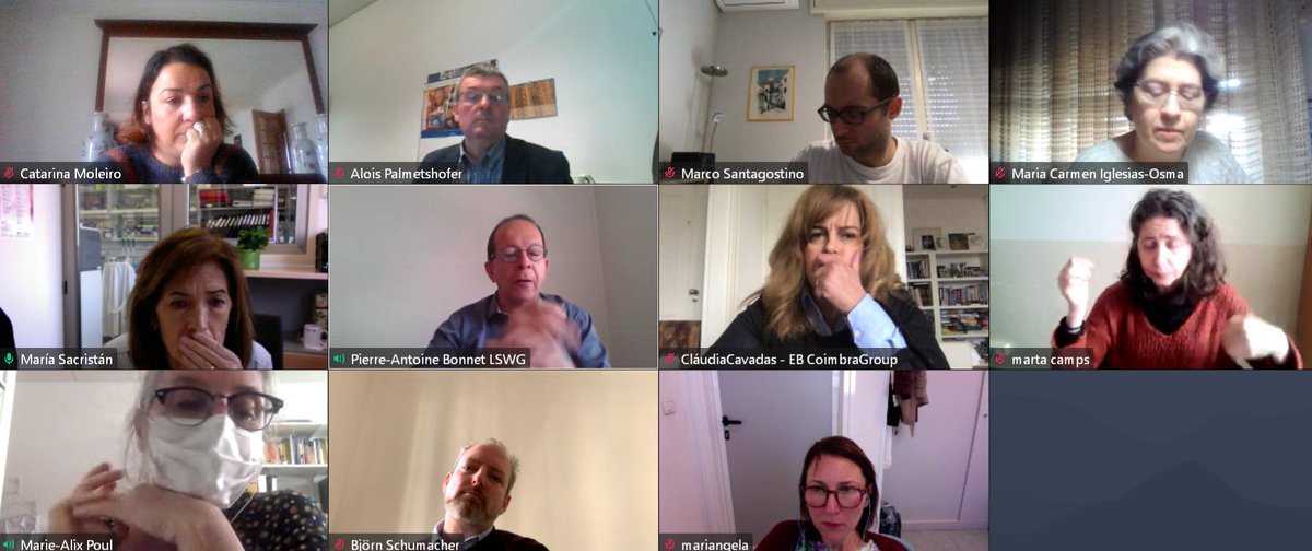 CoimbraGroup's tweet photo. ➡️Development and promotion of @CoimbraGroup  Master Programs in Life Sciences -💠Cancer Biology, 💠Infection Biology &amp;💠Heritable Diseases
➡️Project Winter School in Medicinal Chemistry
Some of the main topics under discussion this morning @ #LifeSciences Working Group meeting https://t.co/Jt8E1pk69P