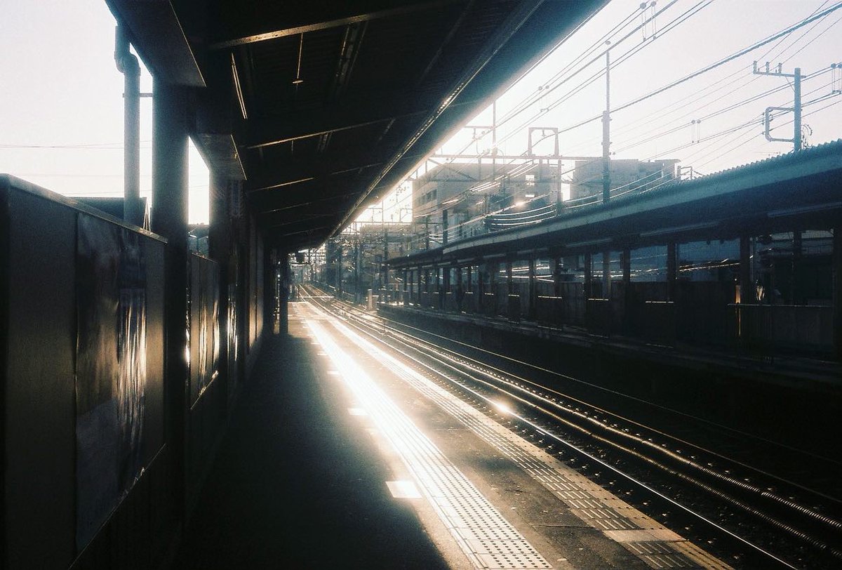 YasuiShunsuke's tweet photo. レンズ曇ってたけど見た目でOK！素敵〜📸
磨いたらちょっとマシに写った！
#olympus  #olympus35  #film #filmphotography #filmcamera #filmphoto #analogphotography https://t.co/GA2yZErdsd