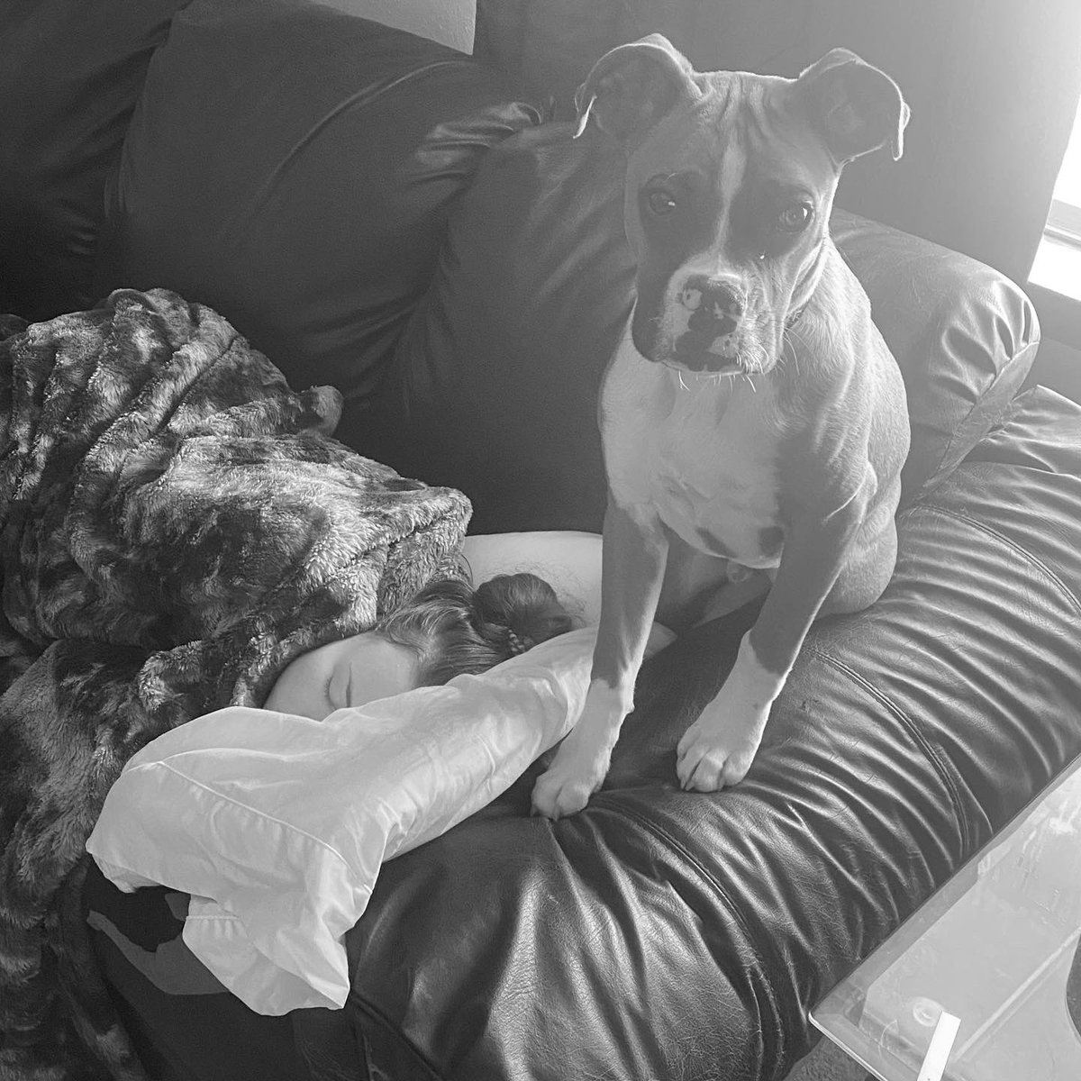 KingCooper377's tweet photo. Tito burrito https://t.co/cjcXYp9Nif