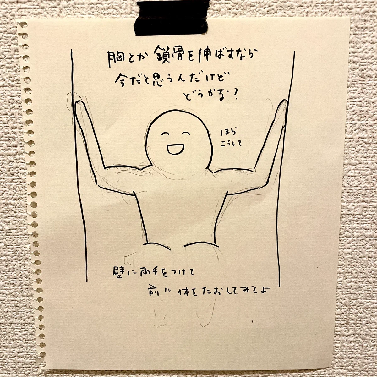 トイレの時間も有意義に？これを貼ってから肩こりが良くなってるｗｗ
