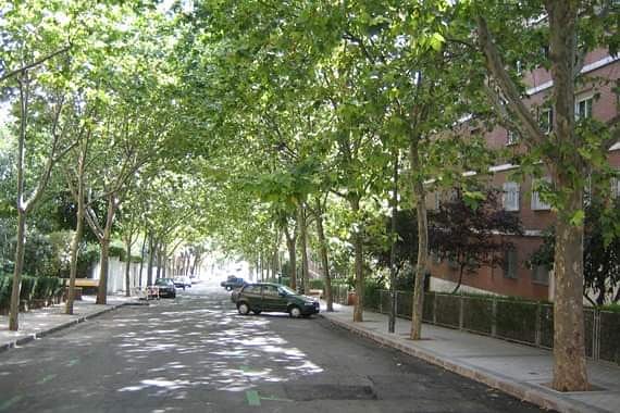 Si las calles de Chitré fueran así. 😓