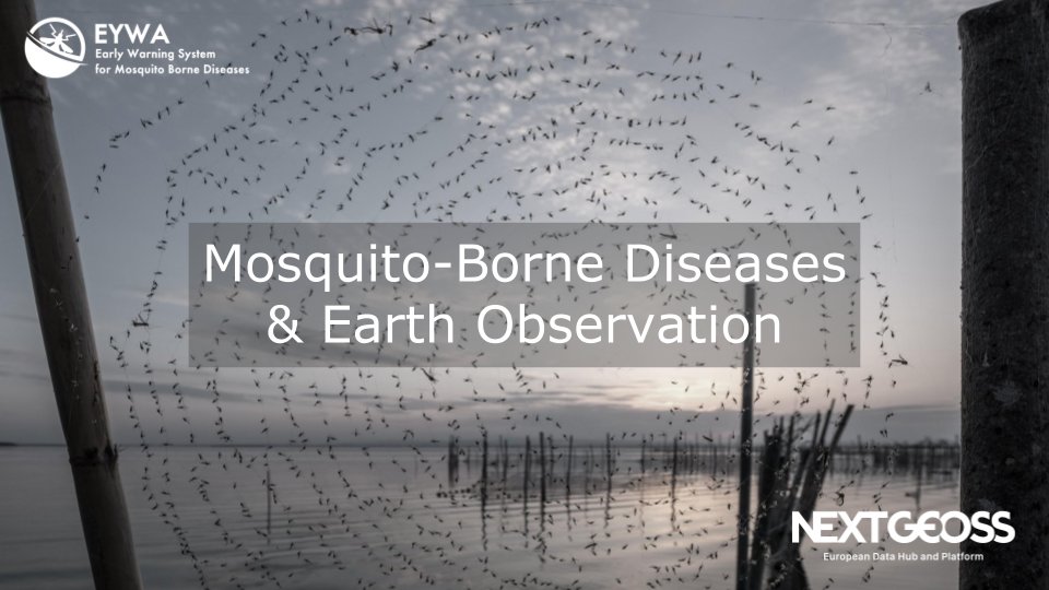 Seeking a way to combat Mosquito-Borne Diseases?
Earth Observation might be the answer you are looking for.
➡️📚nextgeoss.eu/2021/02/22/mos… #EYWA Early Warning System for Mosquito-Borne Diseases using #EarthObservation data & high tech  #mosquitoes #AI #ML #opendata #geoss #EuroGEO
