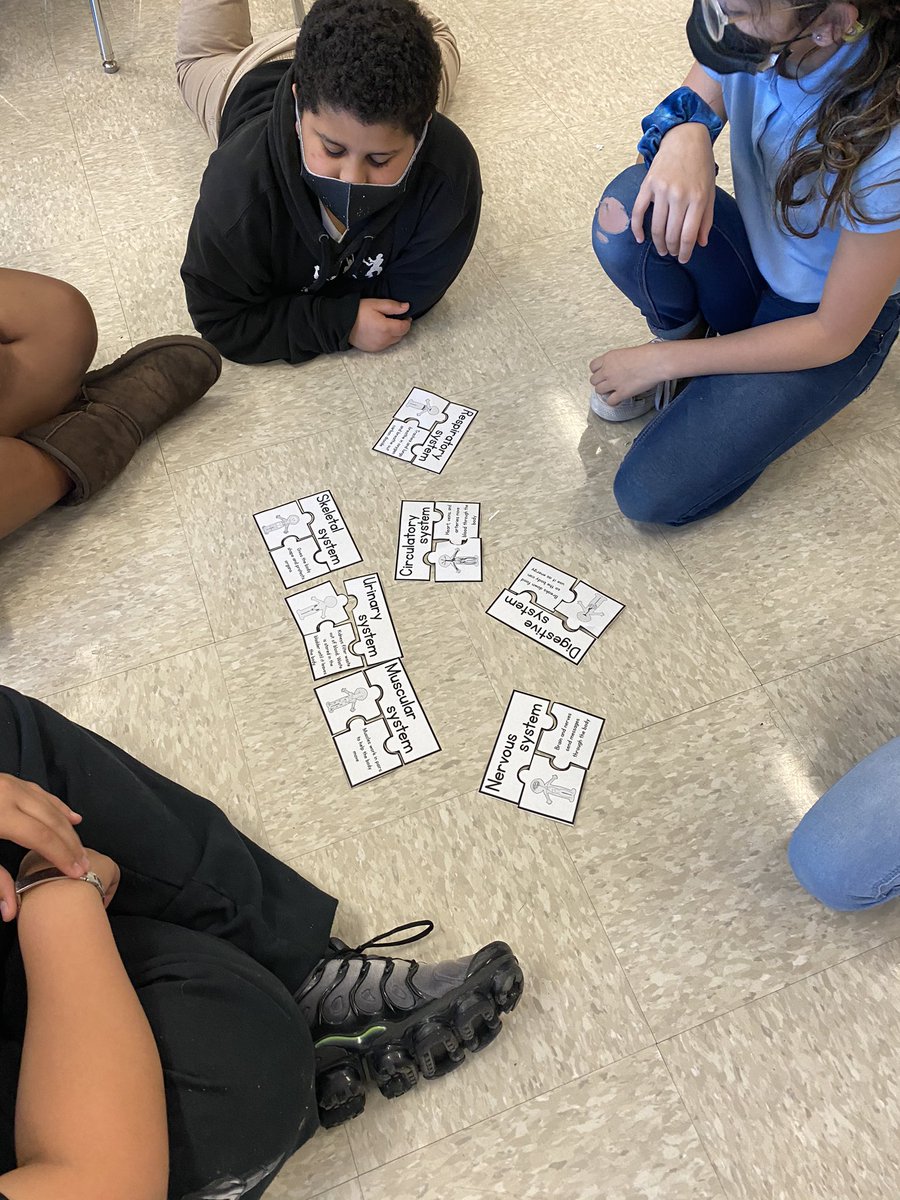 Cristina Pokorny (@pokornycristina) on Twitter photo Preparing for PMA #3! <a href="/MWManatees/">Meadow Woods ES OCPS</a> @DaveGorham_OCPS <a href="/CDLocps/">Curriculum and Digital Learning</a> <a href="/JillAdcock_OCPS/">Jill Adcock</a> @ Preparing for PMA #3! <a href="/MWManatees/">Meadow Woods ES OCPS</a> @DaveGorham_OCPS <a href="/CDLocps/">Curriculum and Digital Learning</a> <a href="/JillAdcock_OCPS/">Jill Adcock</a> @