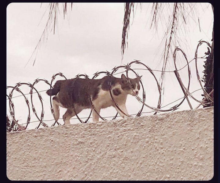 MathiasMachuca2's tweet image. Cuando ya te chupa un huevo todo