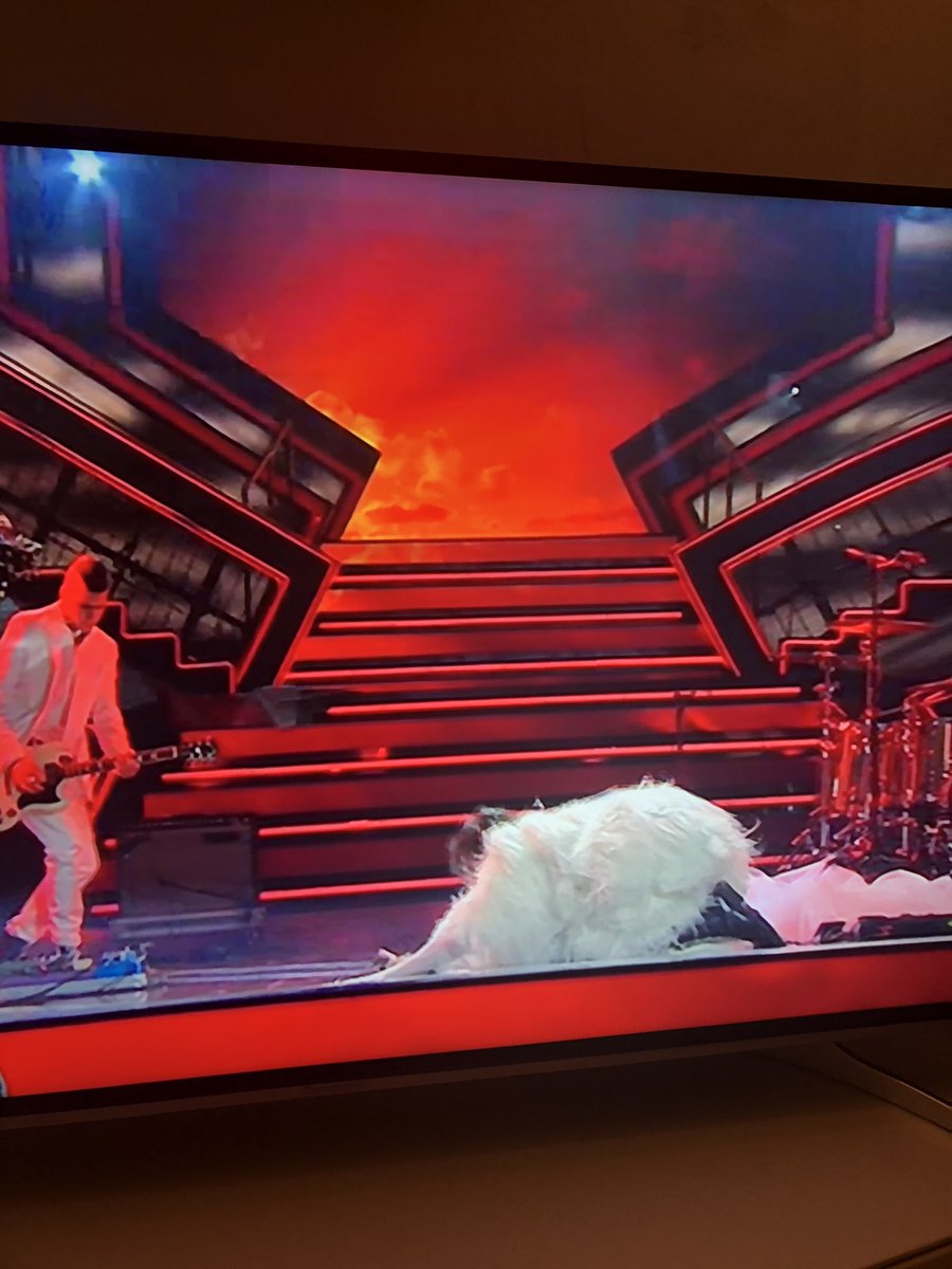 MarziaKeller's tweet photo. La morte del cigno #achillauro #Sanremo2021 #sanremomania https://t.co/PvDbkGofMW
