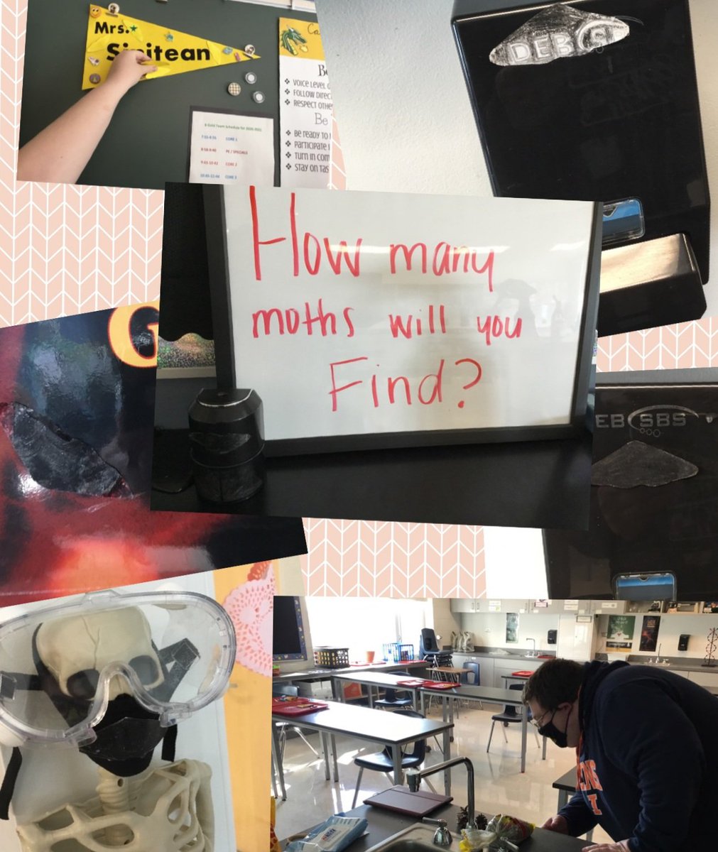 MrsAHefner's tweet photo. Thanks Mrs. Sinitean for inviting us to find the moths your students camouflaged! They did a great job blending them in! #cjhdragons #d26learns https://t.co/ZZbg1Ycvvg