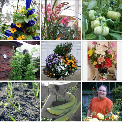 GreenSoil's tweet photo. #HavenBrand start your #gardening off right, feed your #soil our premium soil conditioner tea. Free S/H at https://t.co/aBrJV1Qie6
#seeds #bulbs #succulents #cactus #roses #familyowned #orchids #iris #moopootea #indoorplants https://t.co/N6Wega9Ole