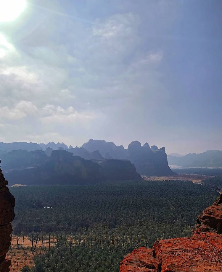 Ezz comrade tweet media