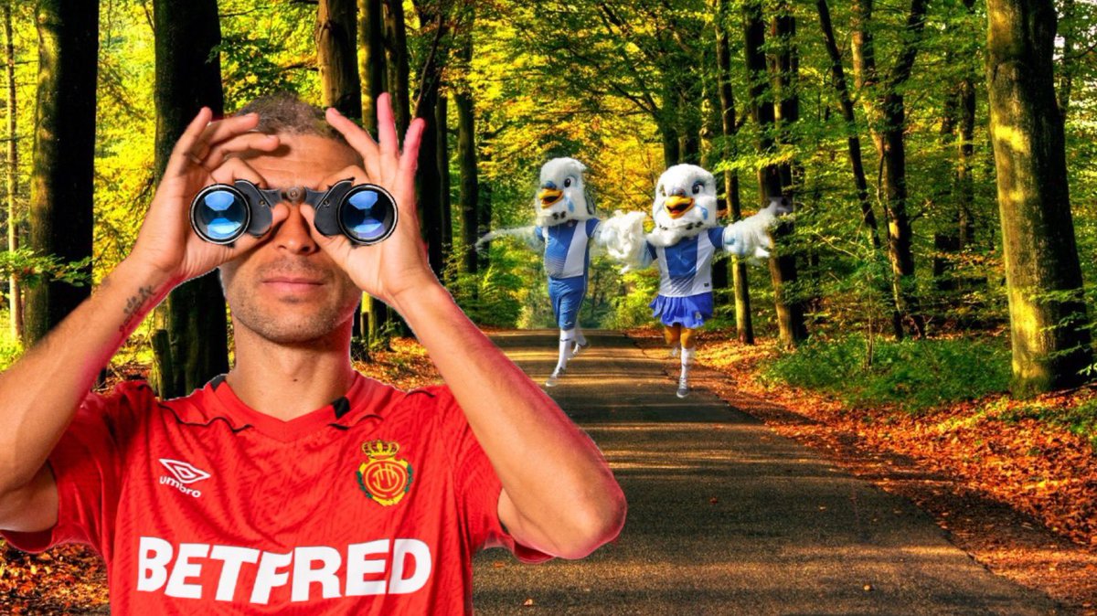 ___WerG's tweet photo. @RCDEspanyol @RealOviedo https://t.co/YnBvKZJcbd