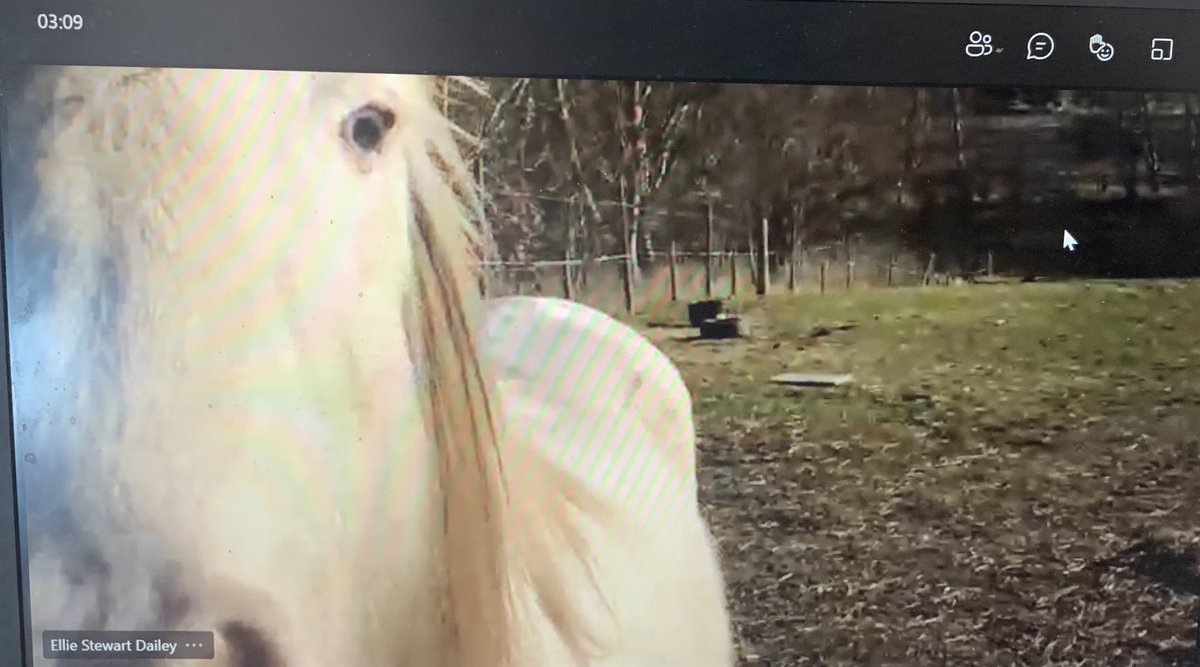 debshay40's tweet photo. Today some of my lovely readiness class showed off their animals. I met Mr.Jones, Monty and Misty. Although Misty moved during the photo. A lovely chat and super end to the week. #taketimetochat #hwb https://t.co/TnAkQFWnra