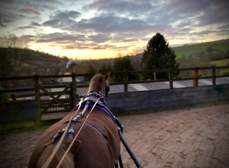 KVEquestrians's tweet photo. Sunset evening views. 
Beautiful, young boy. Building more each day. 

#fridayfeeling #kwpnhorse #kwpn #eveningwalk  #countryliving #countryside #countrylife #horsesofinstagram #equestrian #equestrianphotography #coachinglife #bhsaccreditedprofessionalcoach #motivation #goodtimes https://t.co/aAyQkB3DXT